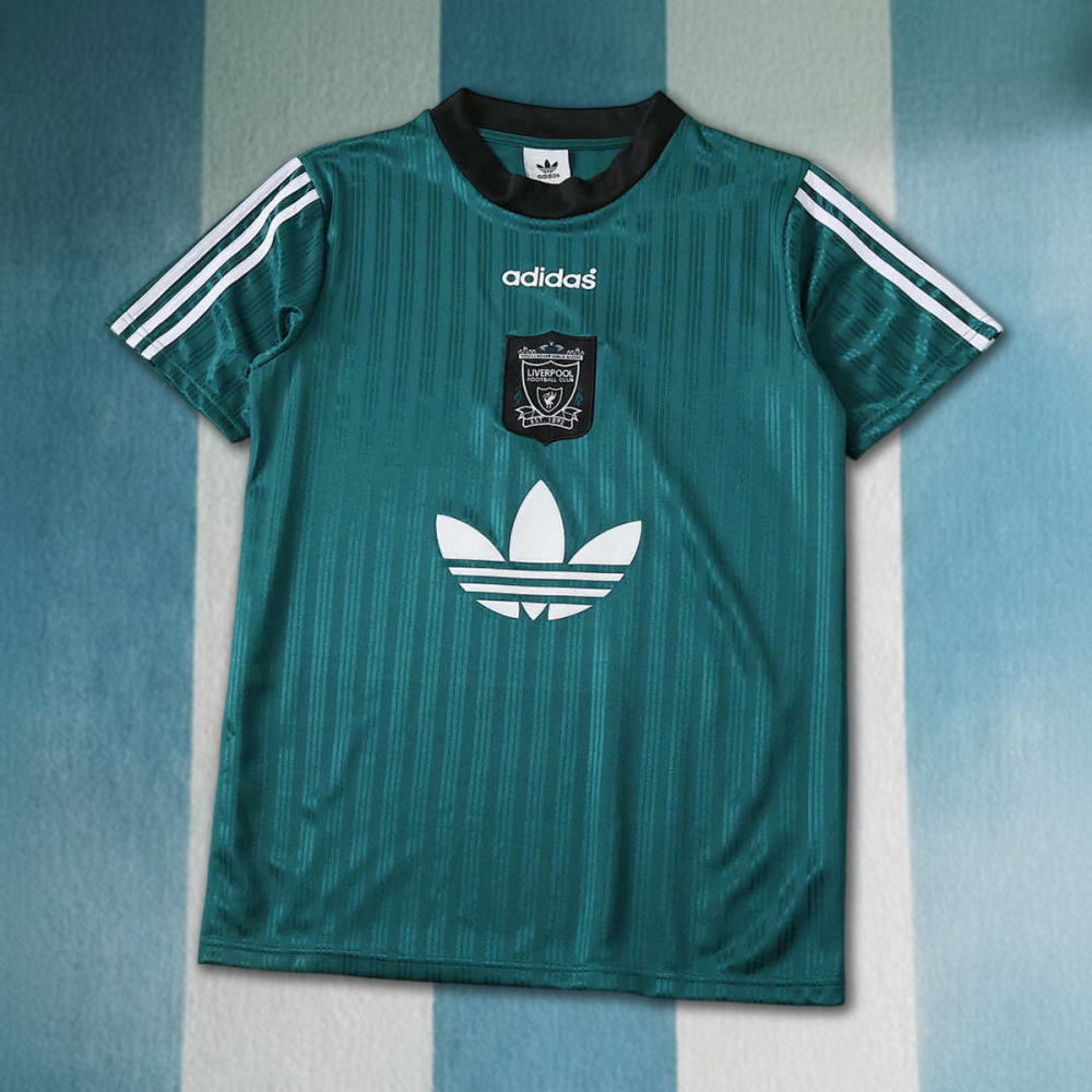 1995 season Liverpool F.C. Concept version Fan version