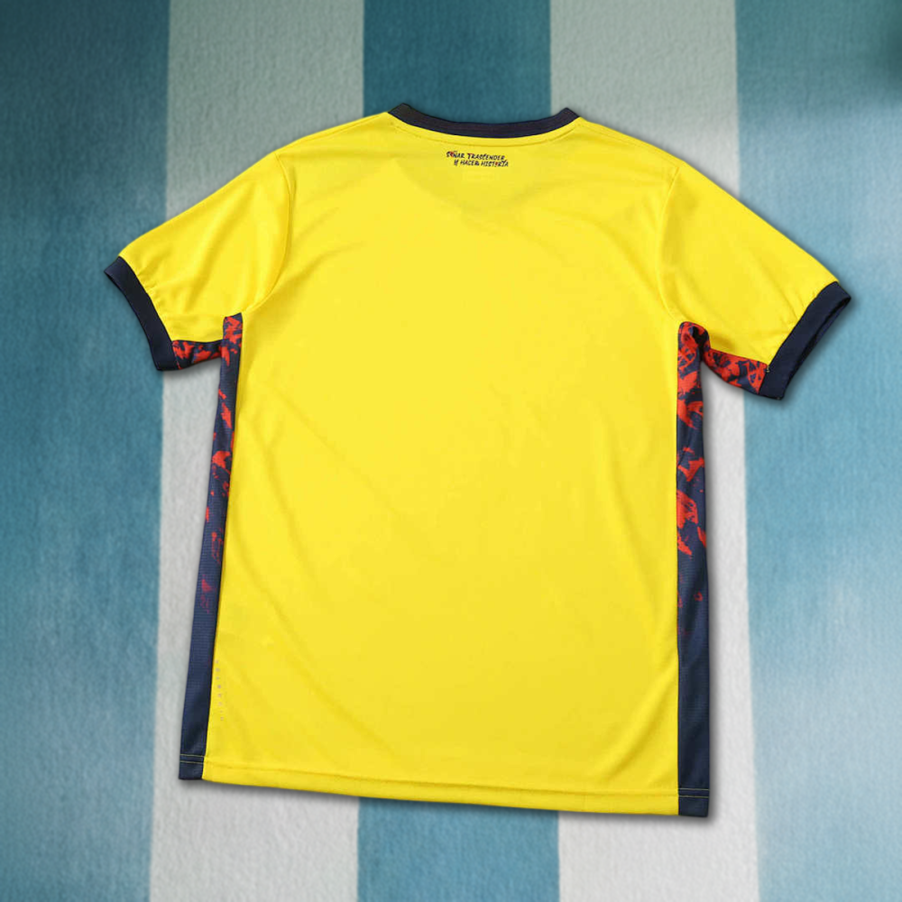 2026 FIFA World Cup Ecuador home Fan version