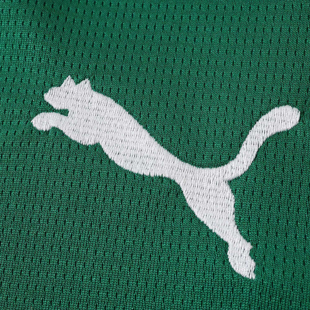 26/27 season Sociedade Esportiva Palmeiras home Long sleeved Fan version