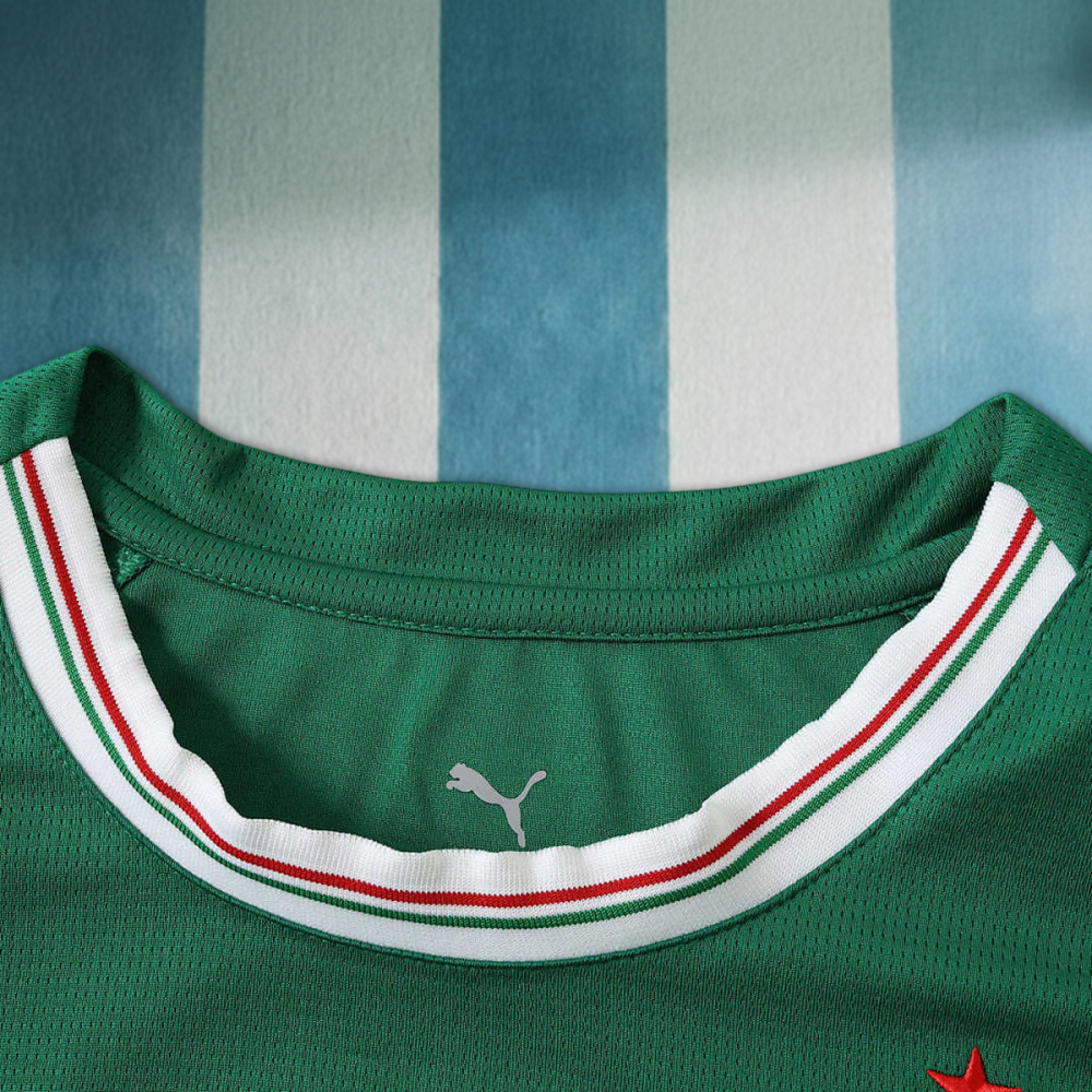 26/27 season Sociedade Esportiva Palmeiras home Long sleeved Fan version