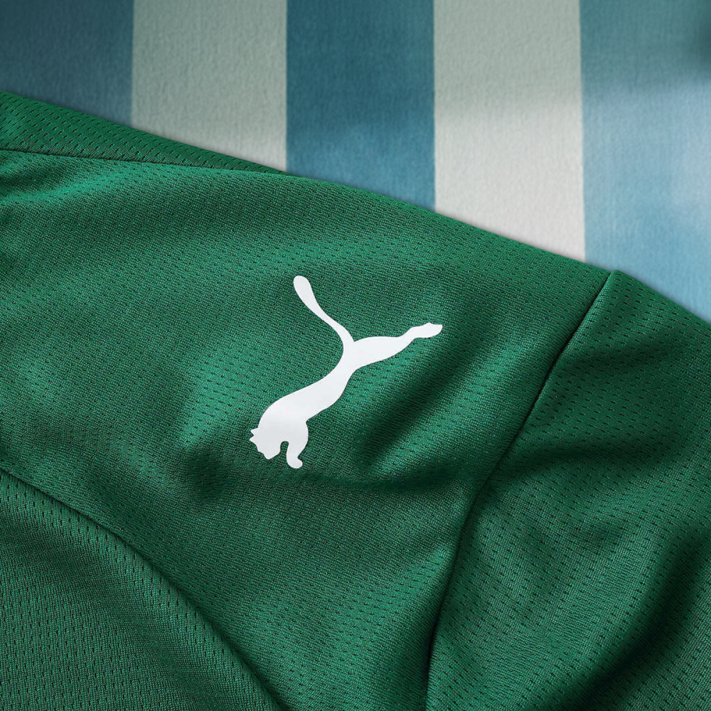 26/27 season Sociedade Esportiva Palmeiras home Long sleeved Fan version