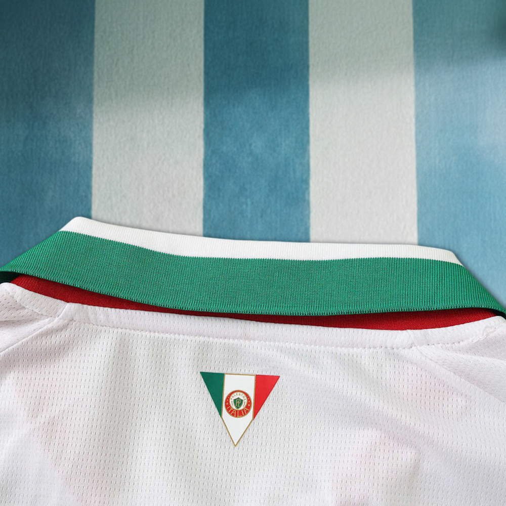 26/27 season Sociedade Esportiva Palmeiras away Long sleeved Fan version