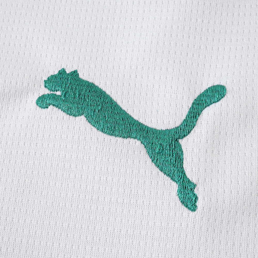 26/27 season Sociedade Esportiva Palmeiras away Long sleeved Fan version