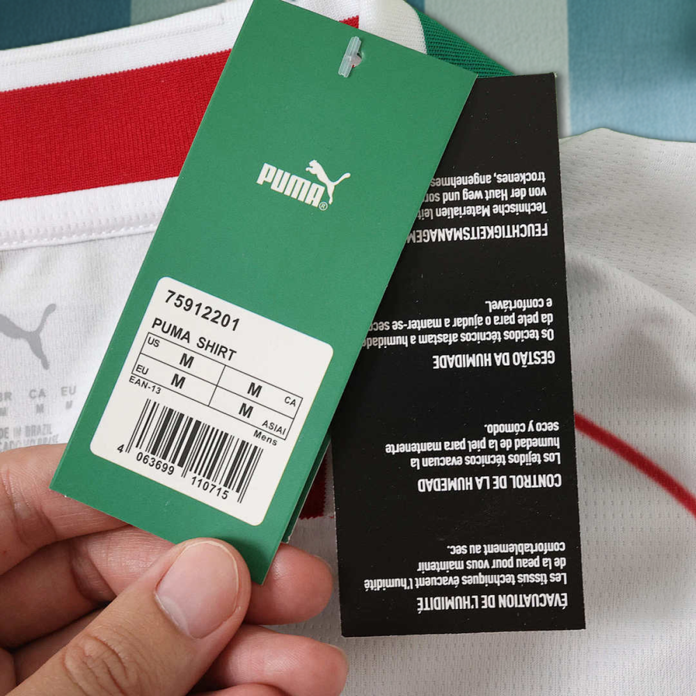 26/27 season Sociedade Esportiva Palmeiras away Long sleeved Fan version