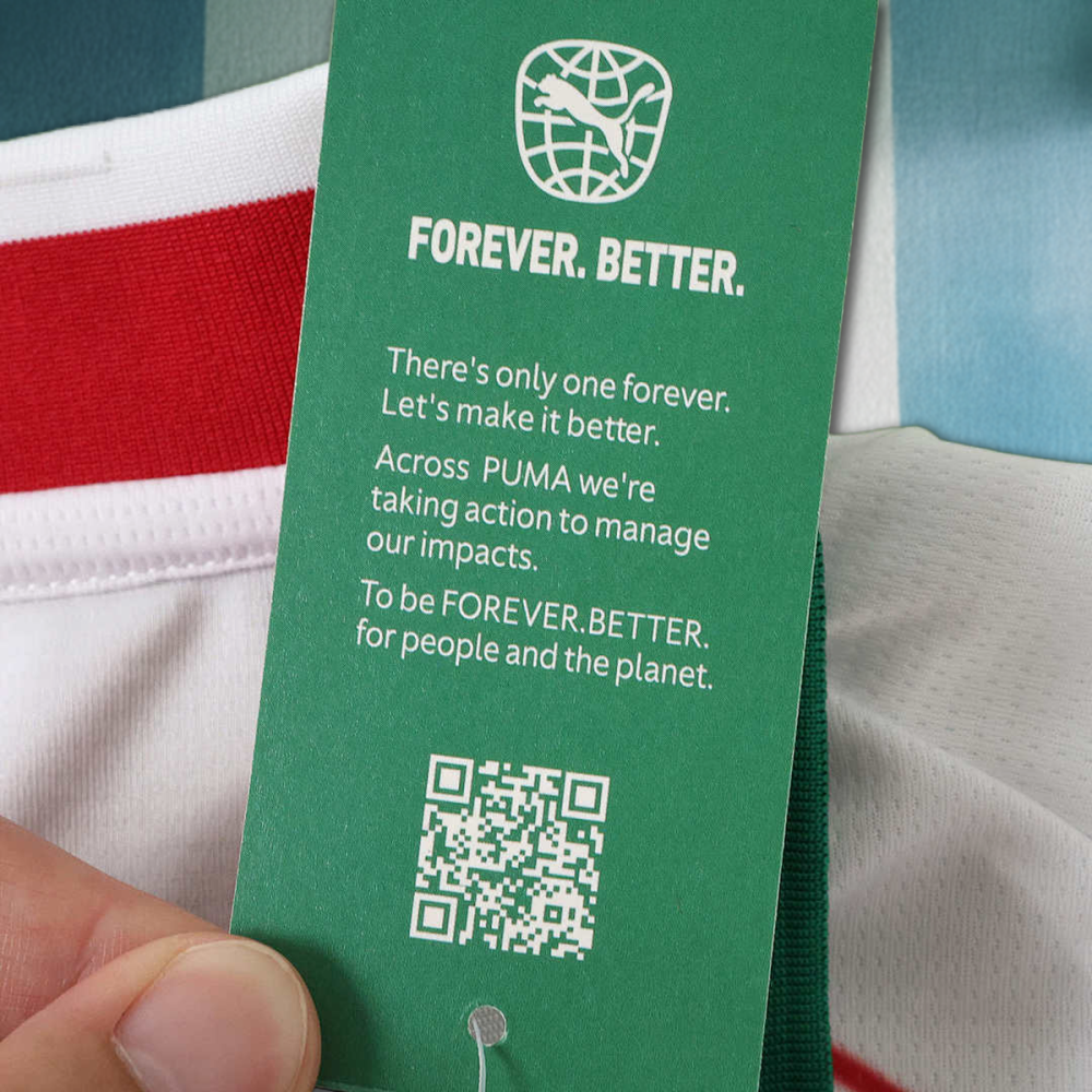 26/27 season Sociedade Esportiva Palmeiras away Long sleeved Fan version