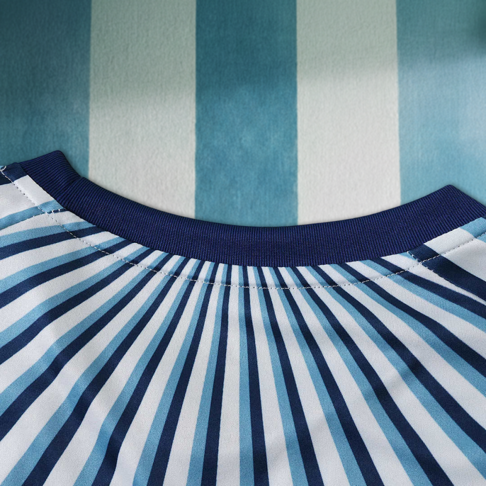 2026 FIFA World Cup Argentina Training shirt Fan version