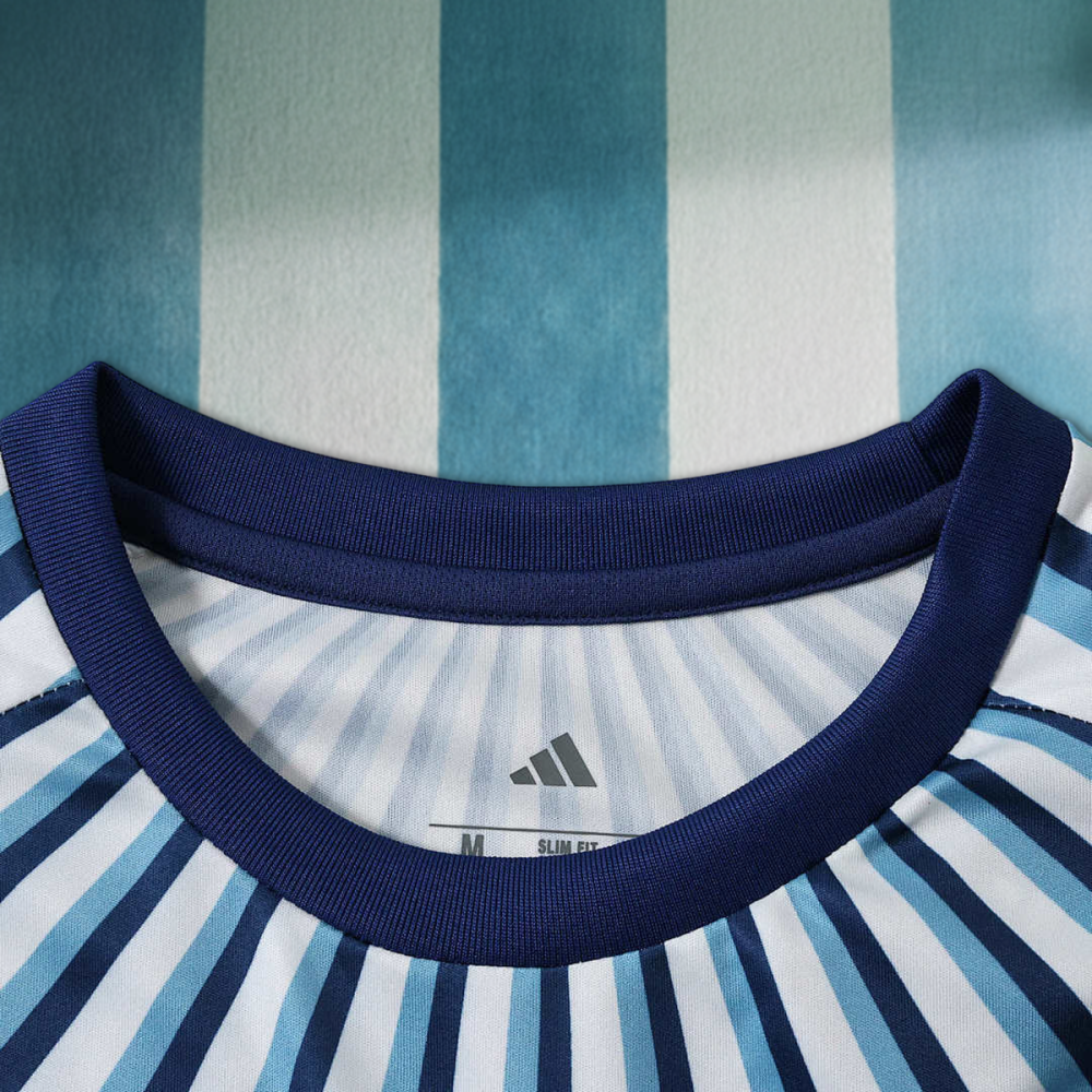 2026 FIFA World Cup Argentina Training shirt Fan version