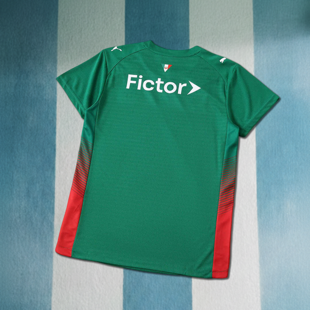 2627 season Sociedade Esportiva Palmeiras home Player version