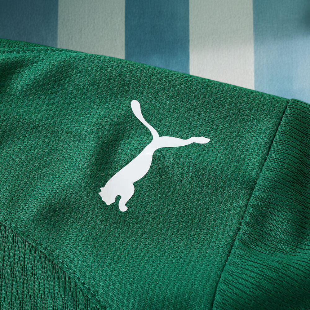 2627 season Sociedade Esportiva Palmeiras home Player version