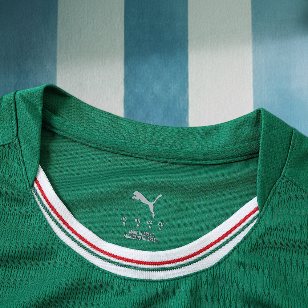 2627 season Sociedade Esportiva Palmeiras home Player version