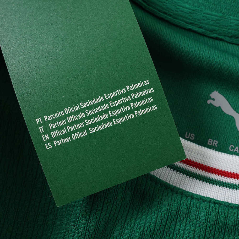 2627 season Sociedade Esportiva Palmeiras home Player version
