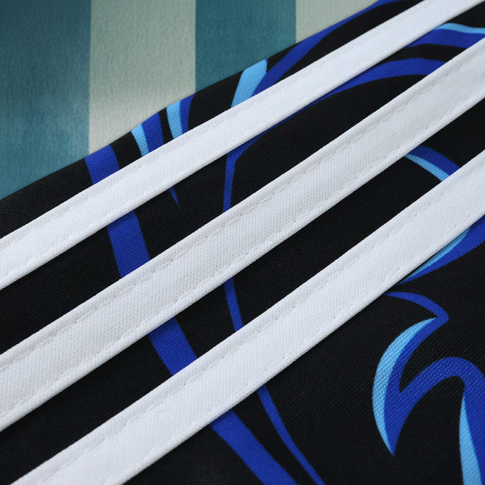 2026 FIFA World Cup Argentina away Long sleeved Fan version