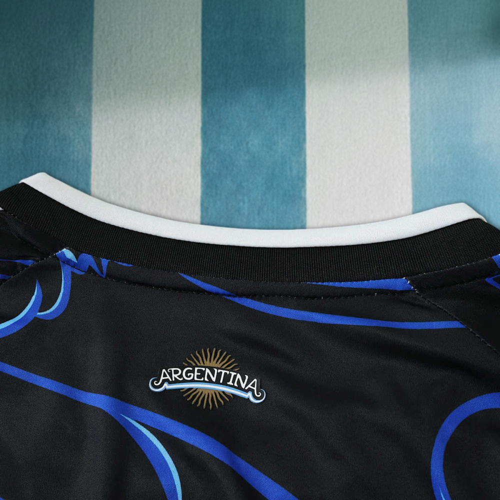 2026 FIFA World Cup Argentina away Long sleeved Fan version