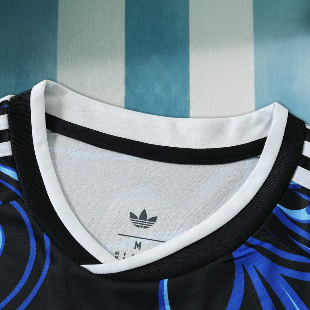 2026 FIFA World Cup Argentina away Long sleeved Fan version