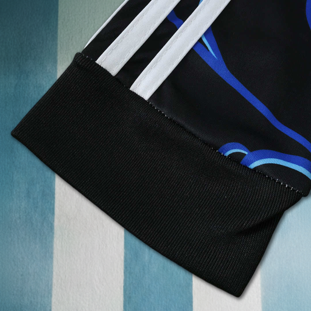 2026 FIFA World Cup Argentina away Long sleeved Fan version