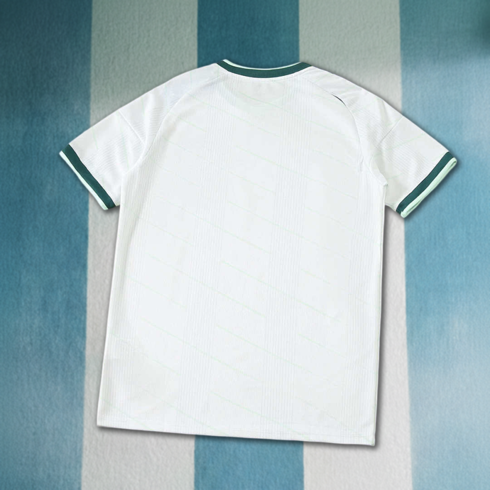 2026 Northern Ireland away Fan version