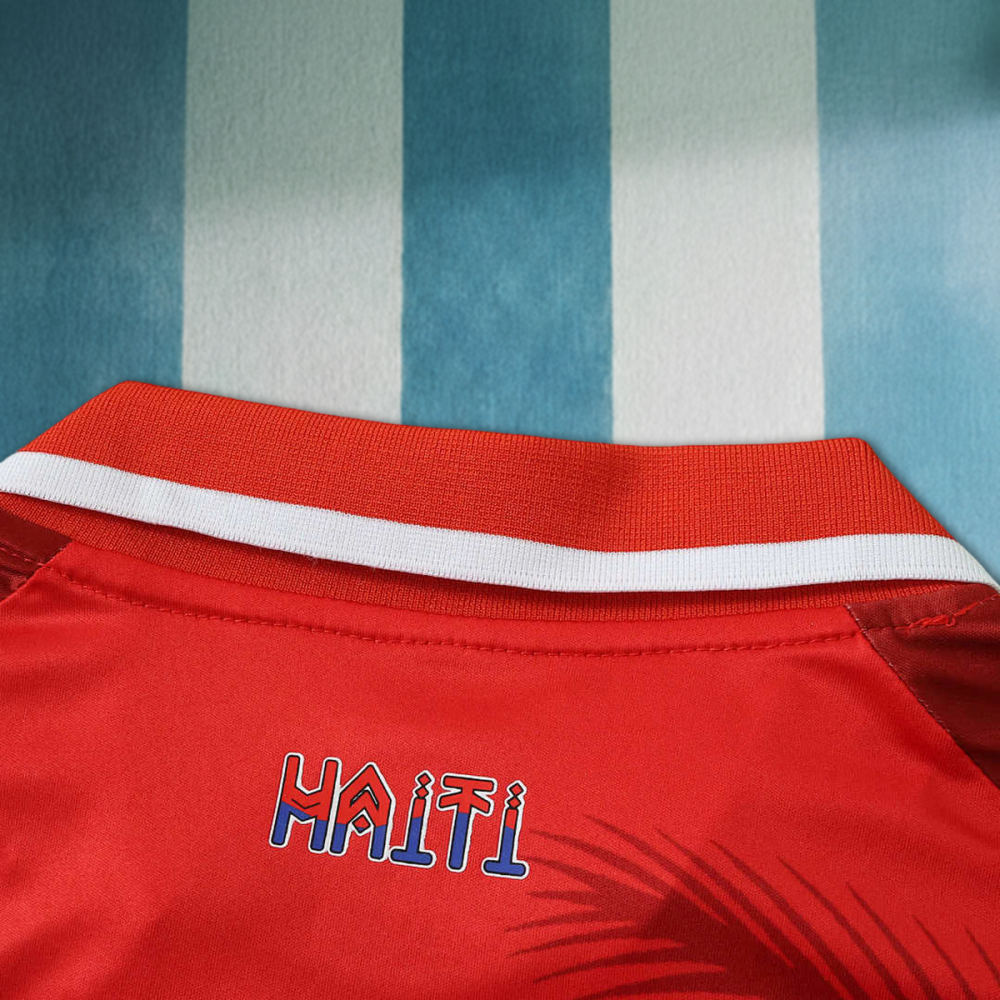 2026 FIFA World Cup Haiti third Fan version