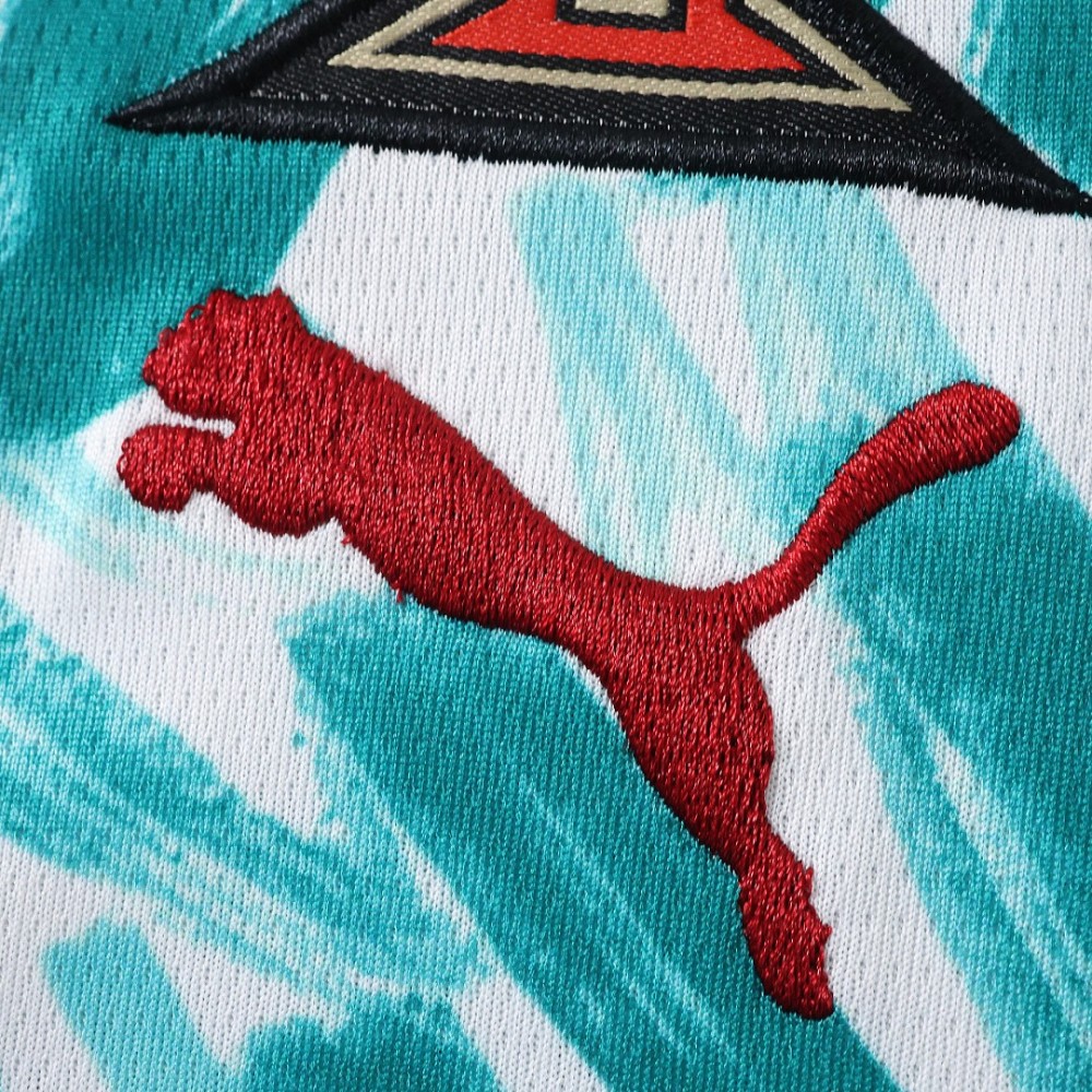 2026 FIFA World Cup Portugal Training shirt Fan version