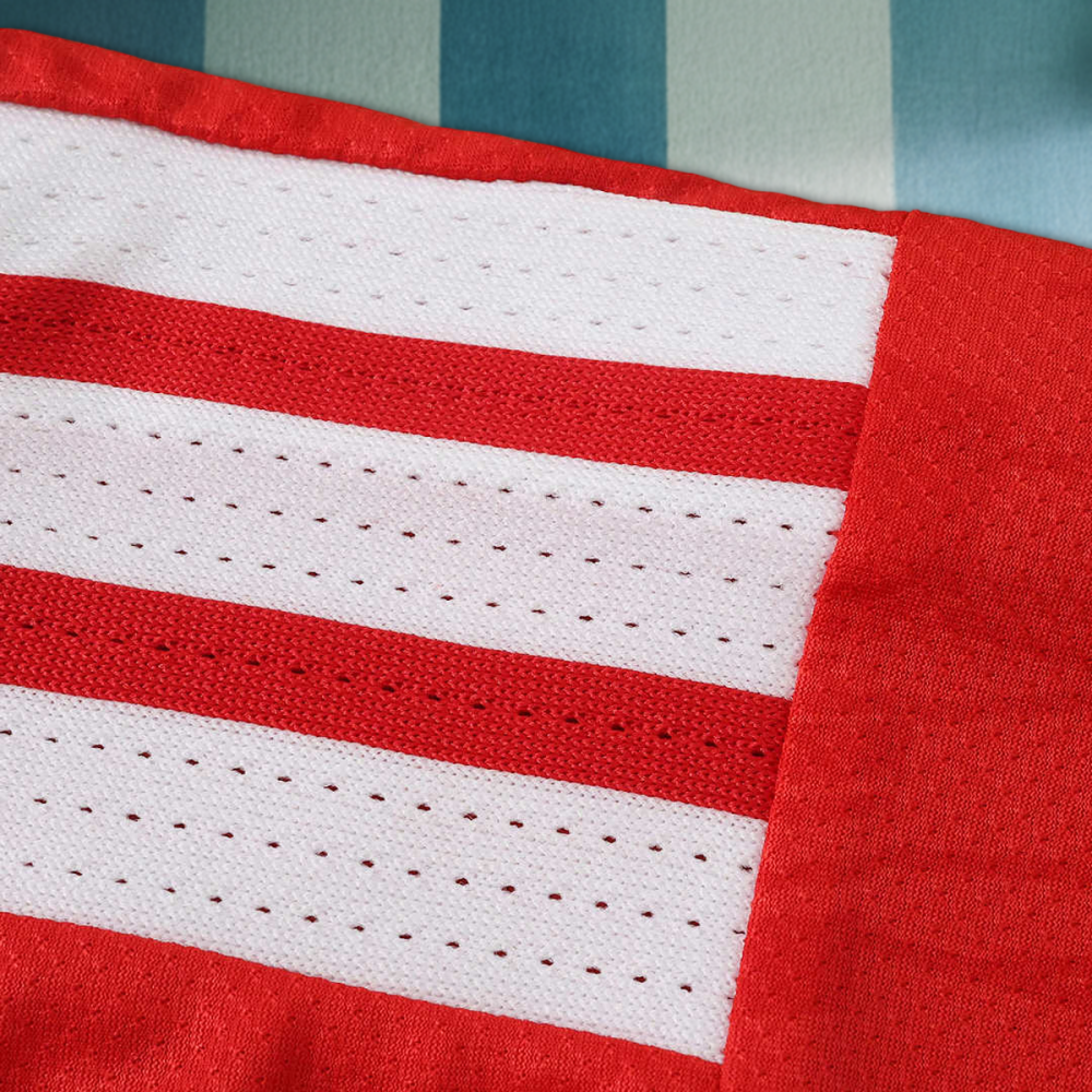 26/27 season S.L. Benfica home Player version