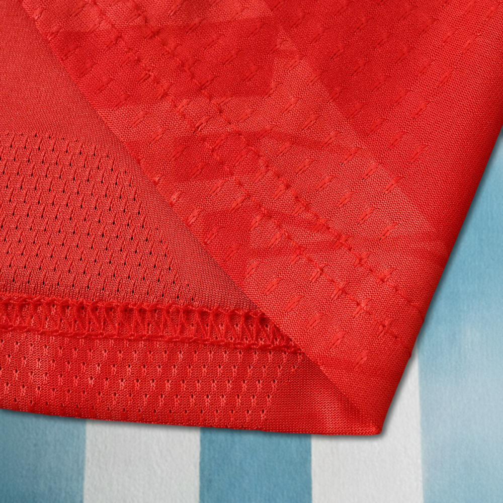 26/27 season S.L. Benfica home Player version