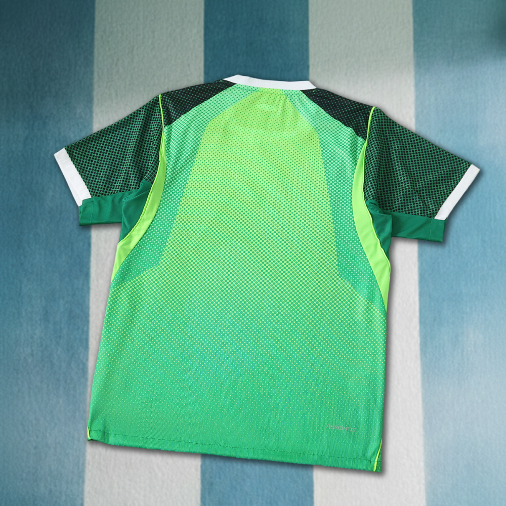 2026 Nigeria home Player version