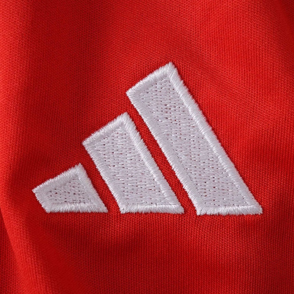 25/26 season Fußball-Club Bayern München shorts