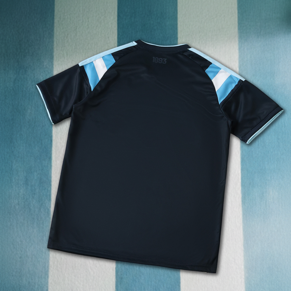 2026 FIFA World Cup Argentina Training shirt Fan version