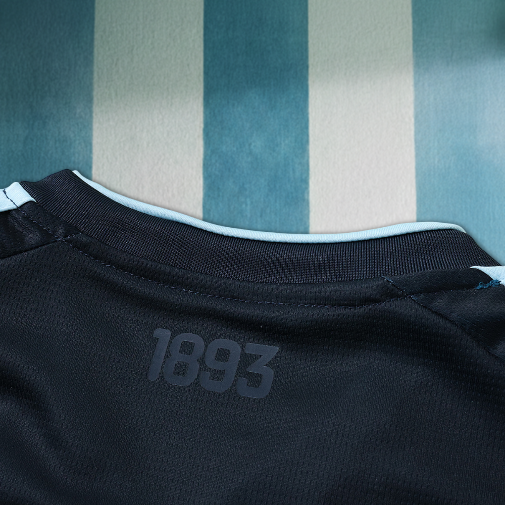 2026 FIFA World Cup Argentina Training shirt Fan version