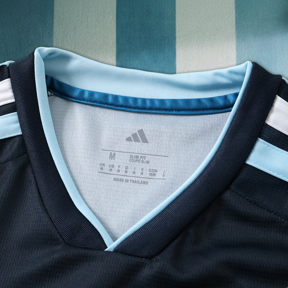 2026 FIFA World Cup Argentina Training shirt Fan version