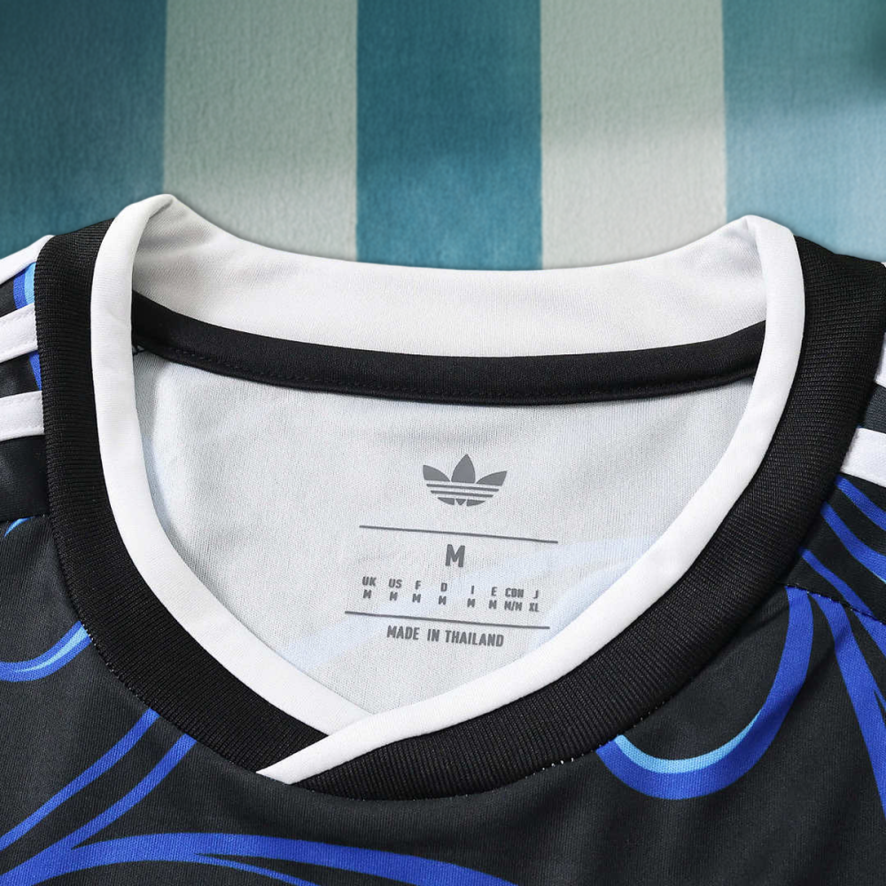 2026 FIFA World Cup Argentina Away Fan version