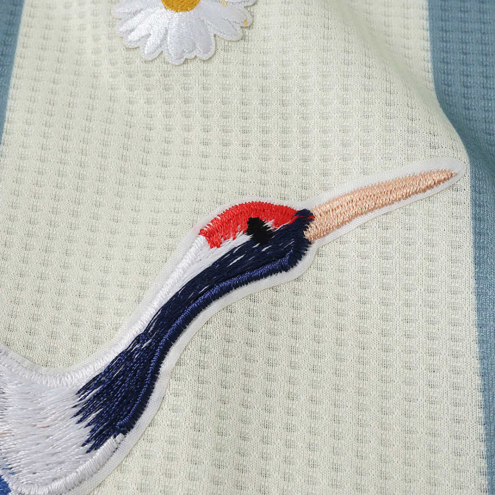 Argentina 50th anniversary embroidery Player version