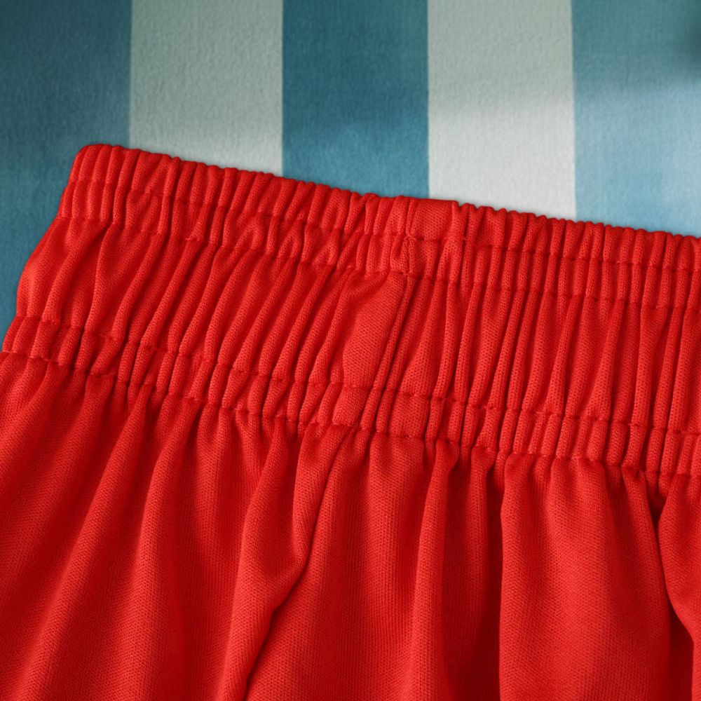 25/26 season Fußball-Club Bayern München shorts