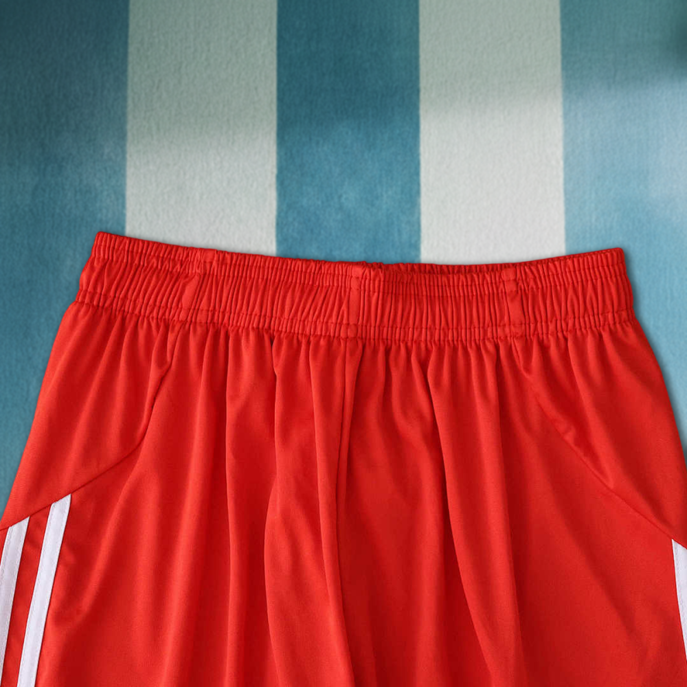 25/26 season Fußball-Club Bayern München shorts