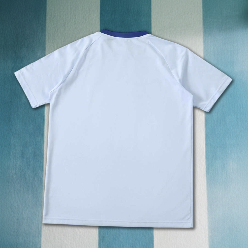 2026 Italy Training shirt Fan version