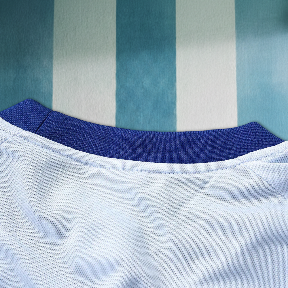2026 Italy Training shirt Fan version