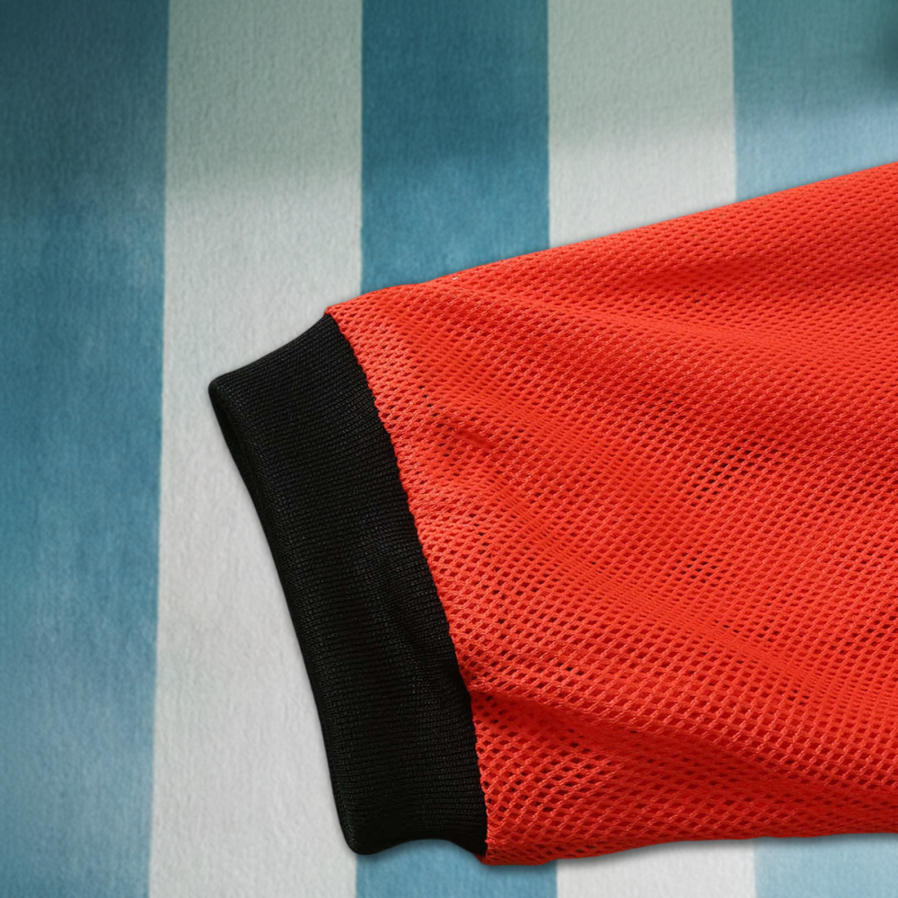 2026 FIFA World Cup Netherlands Appearance outfit