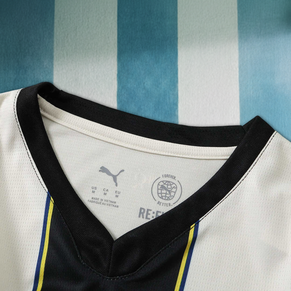 26/27 season Parma Calcio 1913 home Fan version
