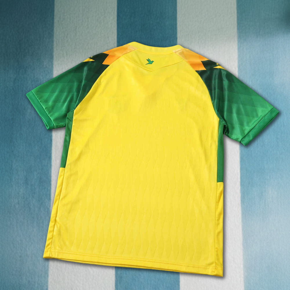 26/27 season FC Nantes home Fan version