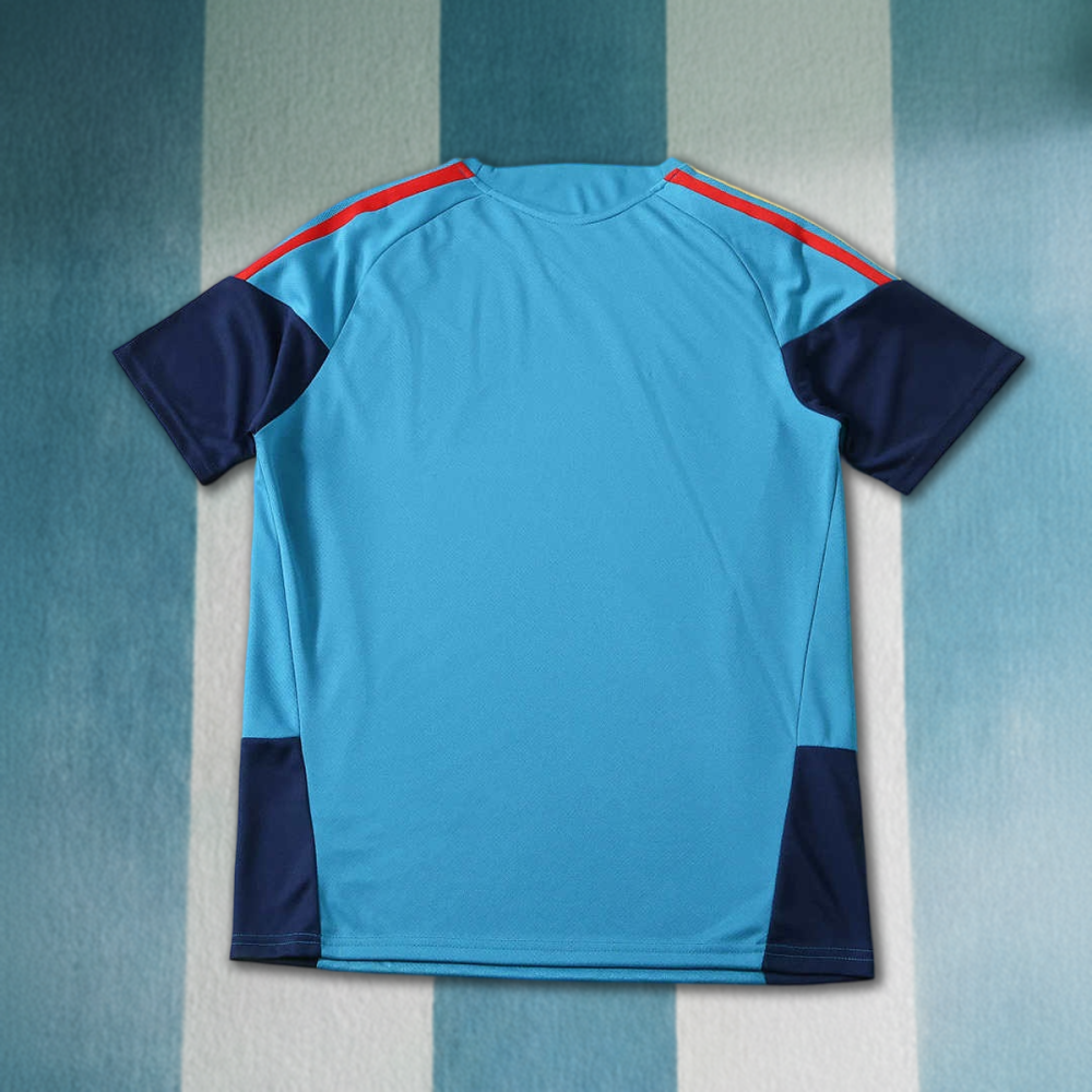 2026 FIFA World Cup Spain Training clothes suit Short sleeve Fan version two sta