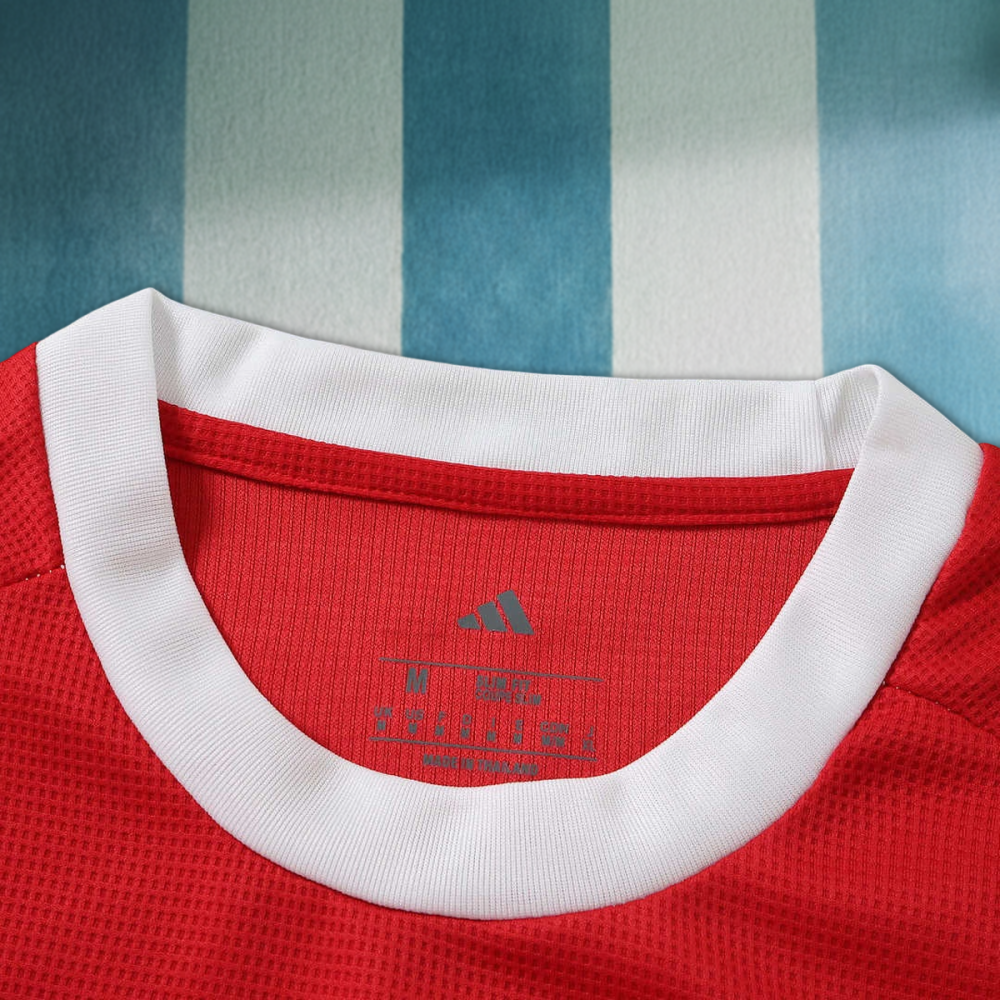 26/27 season AFC Ajax home Fan version