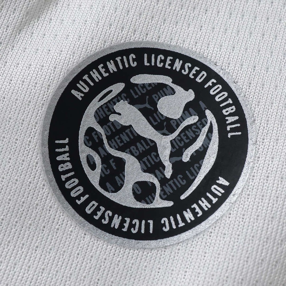 26/27 season C.F. Monterrey away Fan version