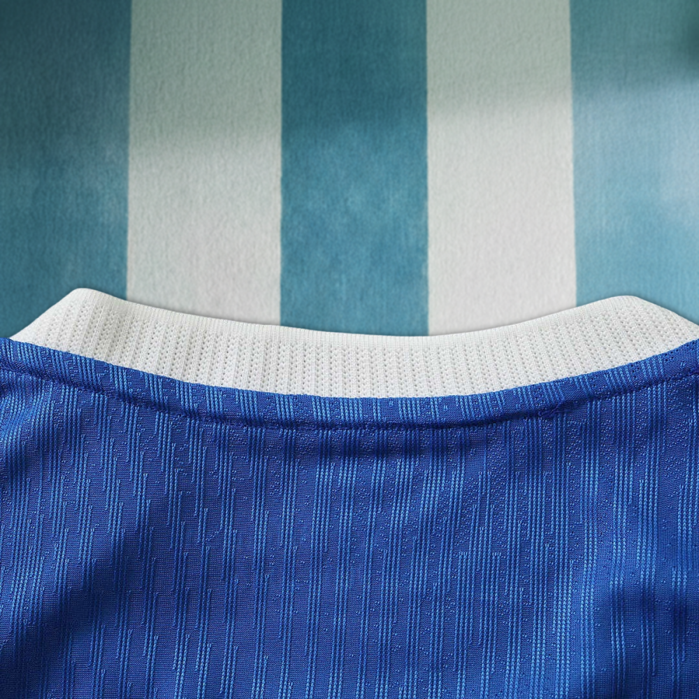 26/27 season Brighton & Hove Albion F.C. home Player version