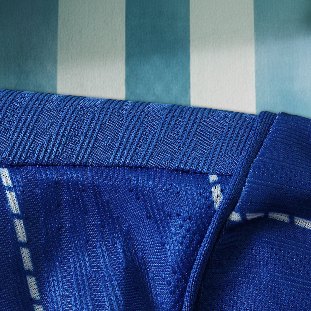26/27 season Brighton & Hove Albion F.C. home Player version