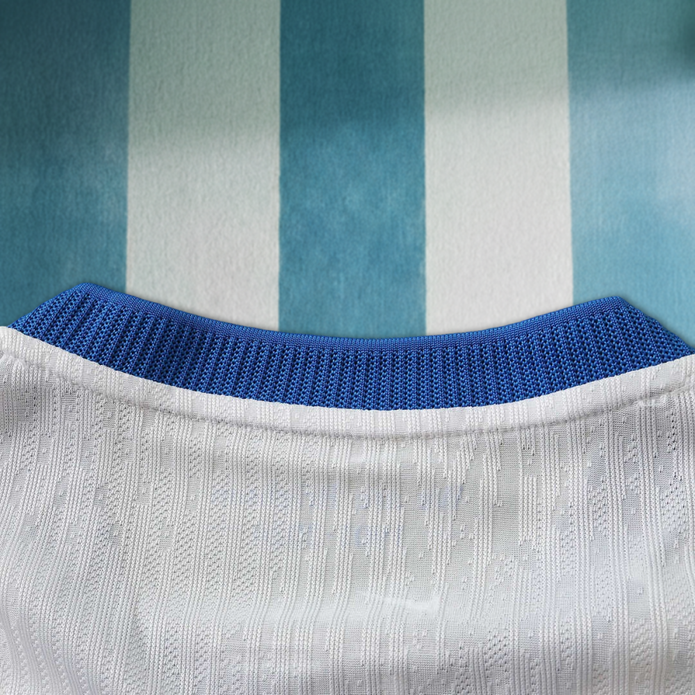 26/27 season Brighton & Hove Albion F.C. away Player version