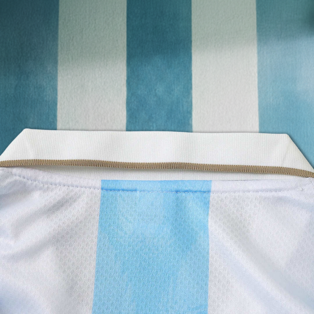 26/27 season  Argentina Concept version 10# Fan version