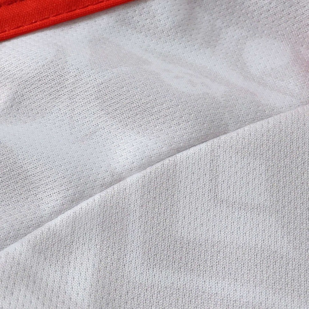 26/27 season S.L. Benfica away Fan version