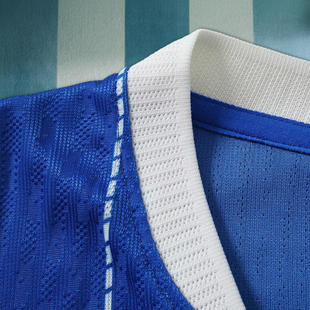 26/27 season Brighton & Hove Albion F.C. home Player version