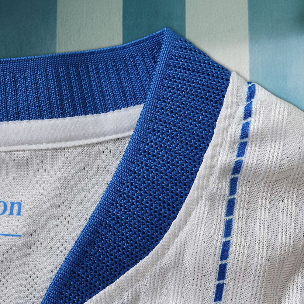 26/27 season Brighton & Hove Albion F.C. away Player version