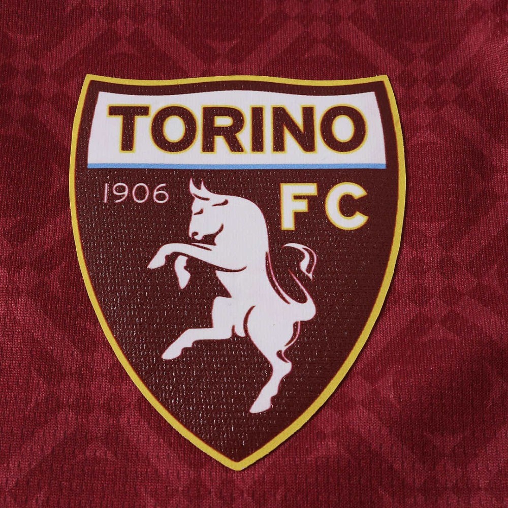 26/27 season Torino F.C. home Fan version