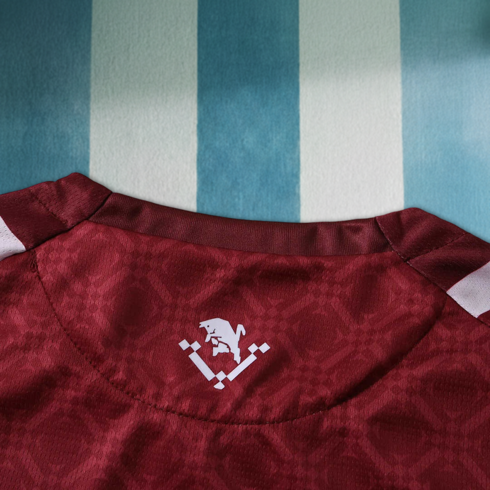 26/27 season Torino F.C. home Fan version